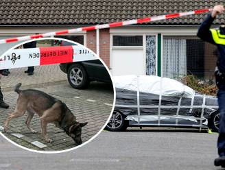 Onderzoek naar twee Amersfoortse liquidaties van bijna tien jaar geleden heropend: ‘Hoop zó dat iemand opstaat’