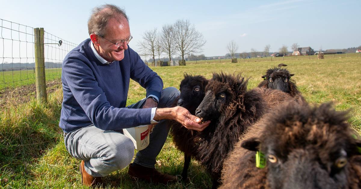 Kinderarts uit Tonden zag wanneer 'simpel ongelukje' mishandeling was: ‘Zoek ook andere verwondingen