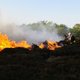 Staatsbosbeheer vreest schade door duinbrand