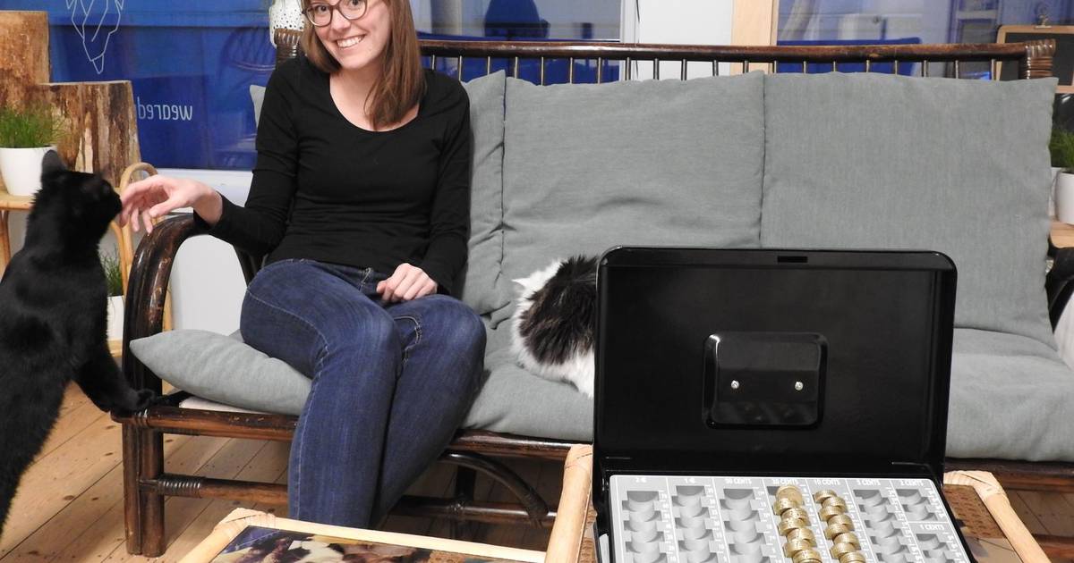 Dieven plunderen kassa en donatiepot Dreamcatchers Gent hln.be