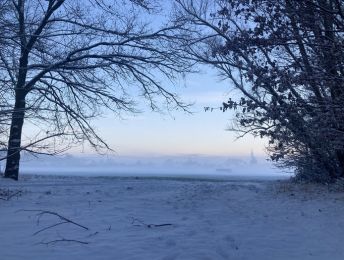 Na de sneeuw zorgt nu ook de mist in Muizen voor sprookjesachtig landschap
