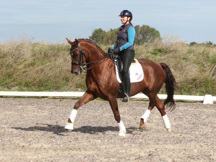 Tessa Baaijens-Van de Vrie met haar Happy Grace, een jong paard dat voortdurend progressie boekt.