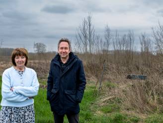 Na jaren nog altijd geen heraanplant bosje Scheutlagestraat: “Bij stad op aandringen dat voorwaarden worden nageleefd”
