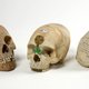 Te koop bij Brussels veilinghuis: drie schedels uit Congo en Tanzania. ‘Dit is onaanvaardbaar’