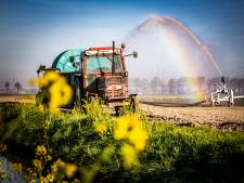 ‘Extreem grillig weer’ zit Dordtse boeren in de weg: ‘We lopen nu tegen beperking van inpolderen aan’