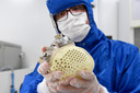 Un employé de Carmat montre un cœur artificiel bioprothétique autorégulé au siège de l'entreprise à Bois-d'Arcy, dans l'ouest de Paris, le 29 août 2018.