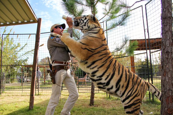 Tiger King seizoen 2.
