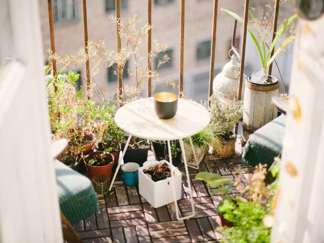 Fleur je balkon of terras eens op met verticale planten
