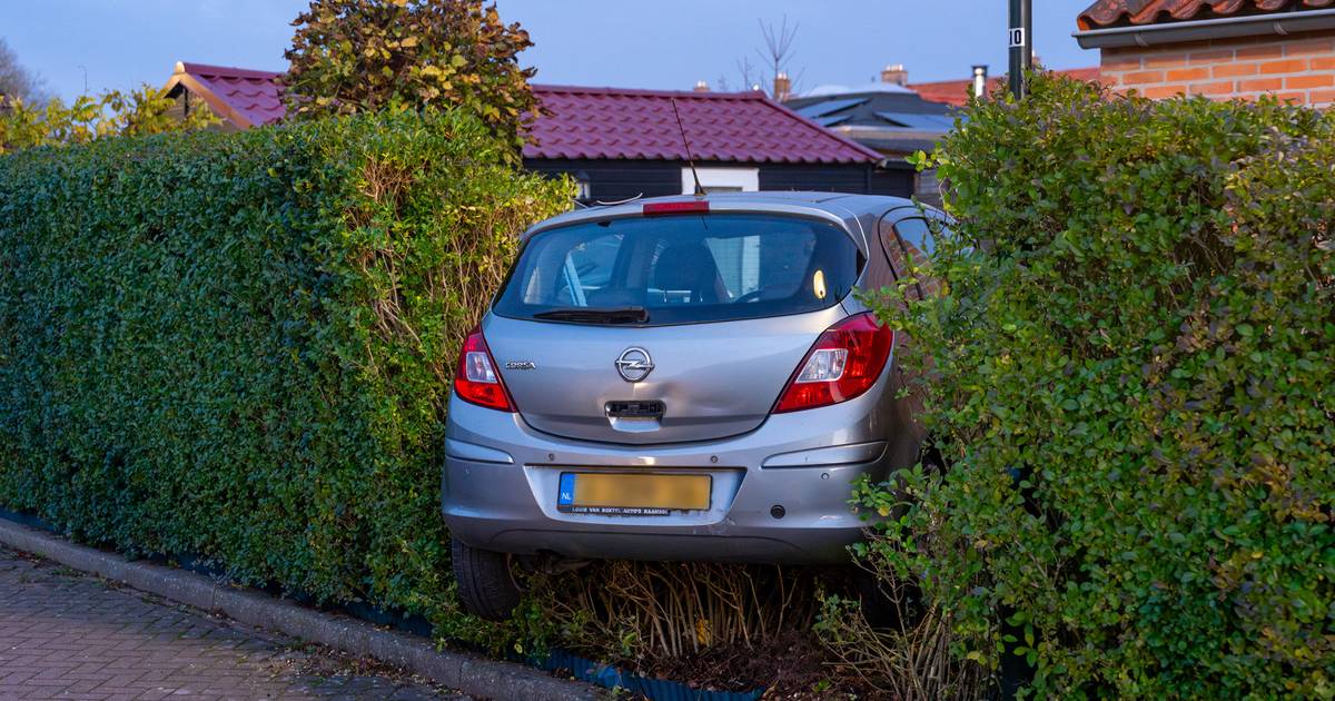Automobilist rijdt tuin binnen in Hank, kweekkas zwaar beschadigd