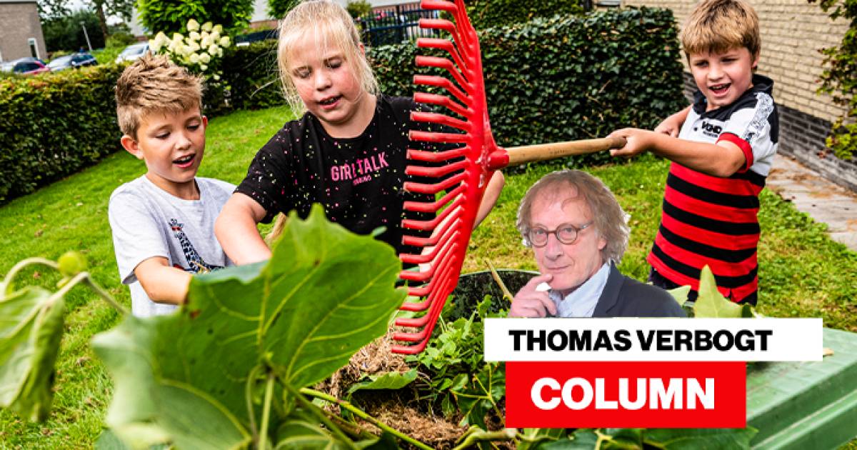 Heitje voor een karweitje, dé oplossing