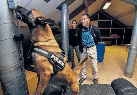 Hondentraining bij Four Winds K9. Foto: Peter van Huijkelom.
