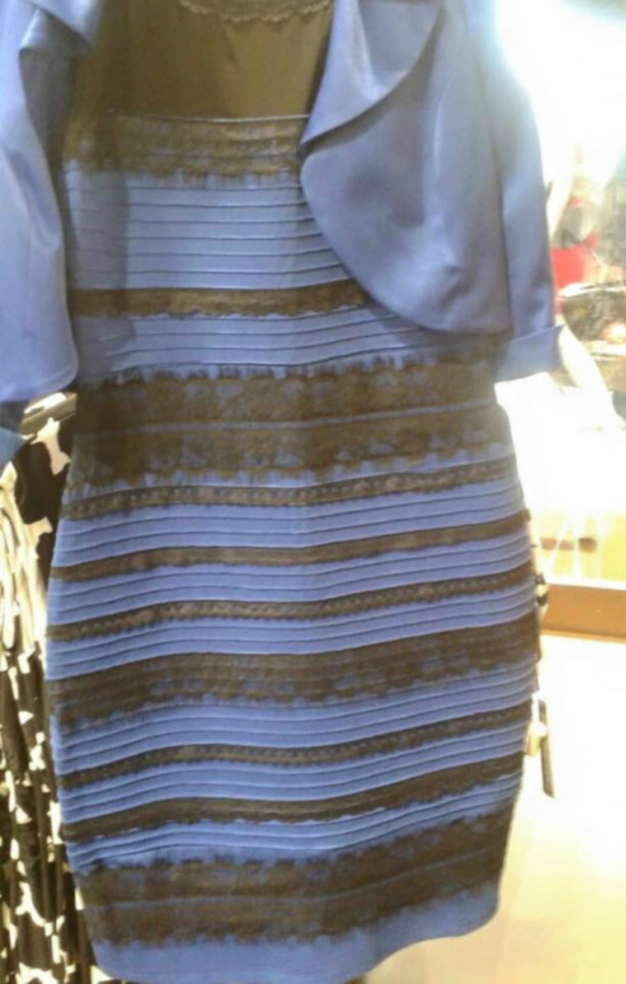 historisch Federaal lobby Waarom zien mensen verschillende kleuren in deze jurk? | Trouw