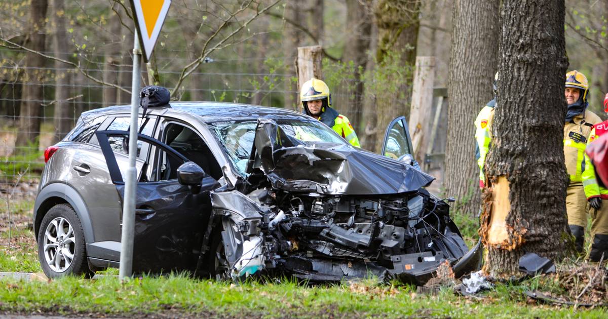 Twee gewonden bij frontale botsing tegen boom bij Hoog Soeren.
