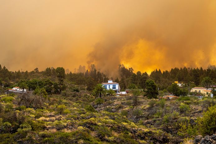 Op het Spaanse eiland La Palma woedt sinds zaterdagochtend een bosbrand.
