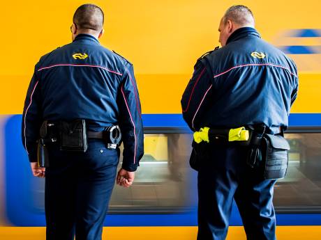 Zwartrijder (23) aangehouden op station Arnhem Centraal na bespugen boa in trein