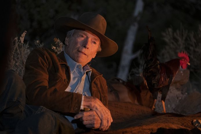 Eastwood als Mike Milo, een norse Amerikaanse paardenfokker. Een rol die eigenlijk in 1988 voor een toen 41-jarige Arnold Schwarzenegger weggelegd was.