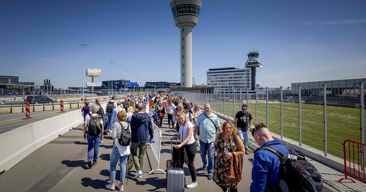 Premier week-end de juillet déjà longues files d’attente à l’aéroport de Schiphol aux Pays-Bas |  À l’étranger