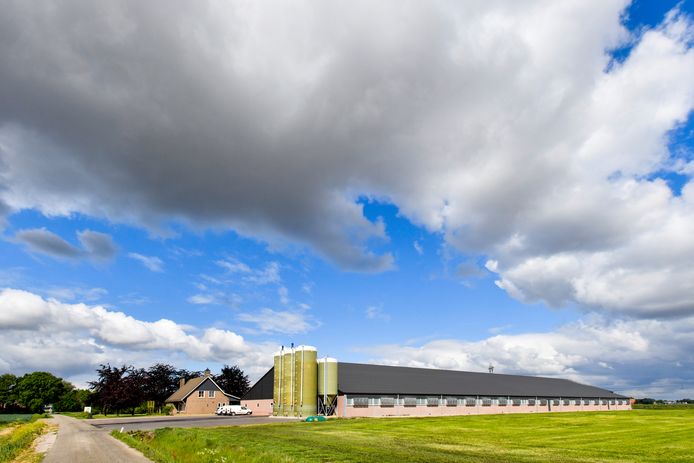 Roosendaal wil meer grip krijgen op de intensieve veehouderij en gaat daarom eigen strenge regels maken tegen stankoverlast. Op de foto het varkensbedrijf Porco dat een aanvraag heeft lopen om fors uit te breiden.