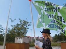 Boottochtjes maken tijdens gloednieuw Fokkerhaven Festival