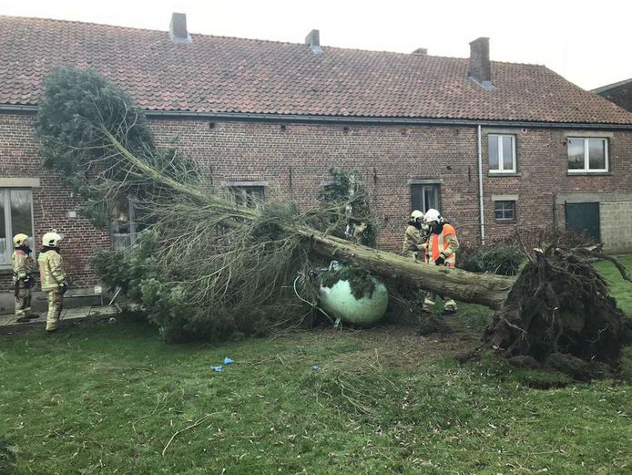 Een omgewaaide boom viel op een gastank in Oetingen.