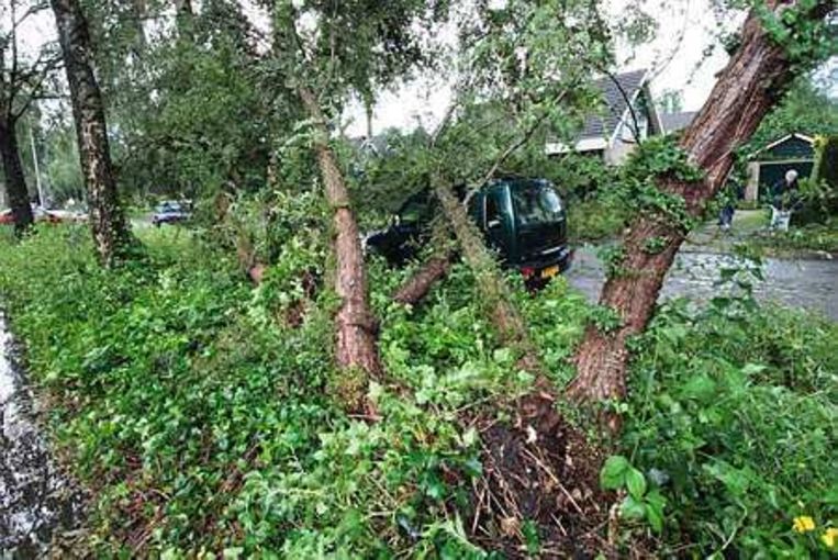 Omgewaaide bomen zijn in Eibergen, in de omgeving van Arnhem, op de weg en op een auto terecht gekomen. Foto ANP Beeld 