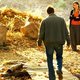 'The Wild Pear Tree' op Proximus en Telenet: hoogstaande cinema van de Turkse meesterfilmer Nuri Bilge Ceylan