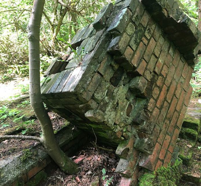 Al wist iedereen van het bestaan van Lodge Moor in het Britse Yorkshire af, onderzoekers gingen voor het eerst aan de slag op de bewuste site. Ze vonden er restanten van de gevangenismuren, maar ook menselijke overblijfselen.