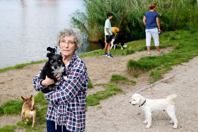 Paula  maakt zich zorgen om de vervuiling bij het hondenstrookje in de bocht bij de Veilinghaven.