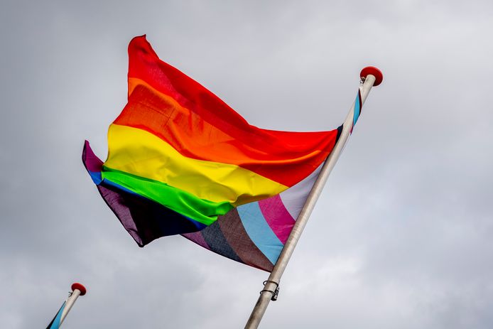 De inclusieve vlag is een uitbreiding van de regenboogvlag.