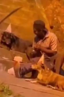 Un sans-abri filmé en train de fêter l’anniversaire de ses chiens avec un gros gâteau