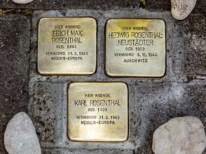 Hier woonde een holocaustslachtoffer: Zwolle telt inmiddels 410 struikelstenen