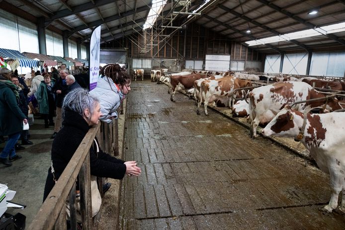 Het Farmers Festival in Wintelre.