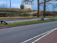Opnieuw boompjes aan de Parkweg omvergereden