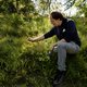 Vlaamse biodiversiteit kleurt rood: ‘Vlaanderen is één groot stort voor mest’
