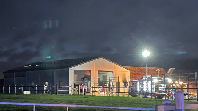 Paarden ongedeerd na brand in loods op landbouwbedrijf