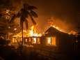 “Dodelijkste bosbranden in  geschiedenis van Californië”: al 44 doden en honderden vermisten