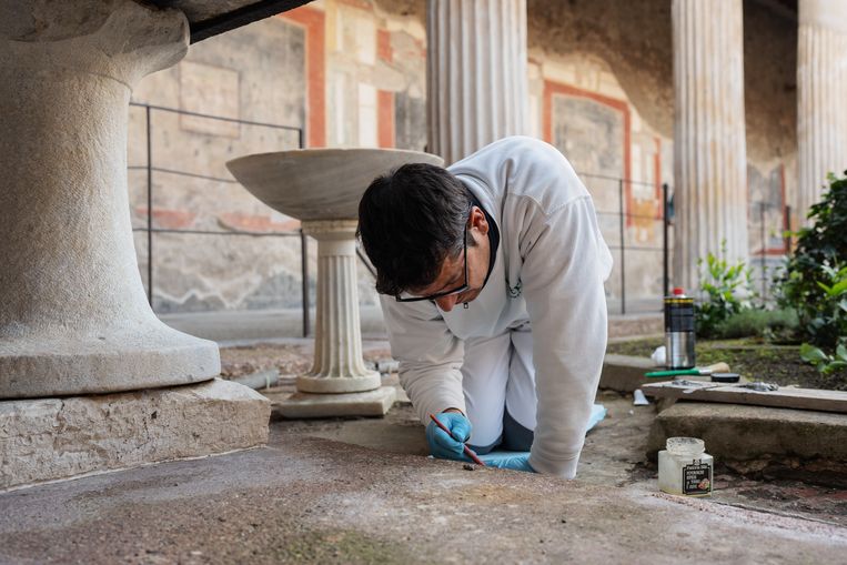 Restauratie van een vloer van het Huis van de Vettii.
 Beeld Giulio Piscitelli