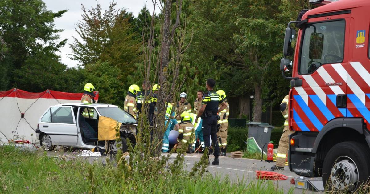 Automobiliste zwaargewond naar ziekenhuis na frontale botsing op Krakkedel bij Doornenburg.
