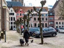 Wéér gedoe om bomenkap in centrum Deventer: ‘Alles gaan ze kappen’