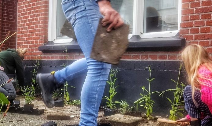 In verschillende straten in Enschede hebben bewoners als geveltuintjes aangelegd. Ook in Kampen, Deventer en Zwolle zijn er allerlei initiatieven van Groene Loper Overijssel