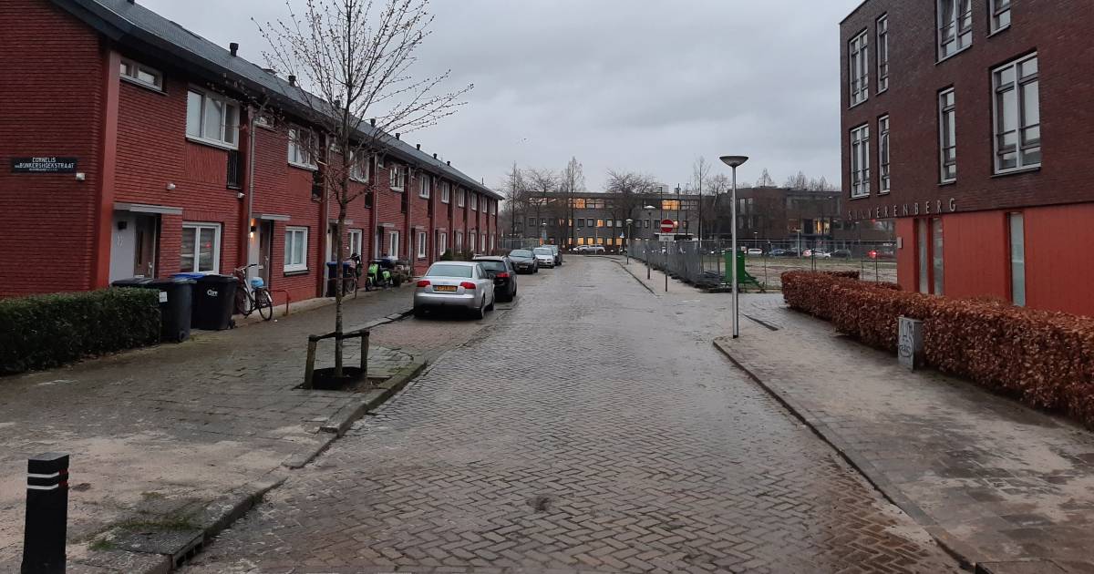 Mag vrouw huis uit worden gezet na zes jaar ruzie met buren? ‘Ze intimideren haar voortdurend