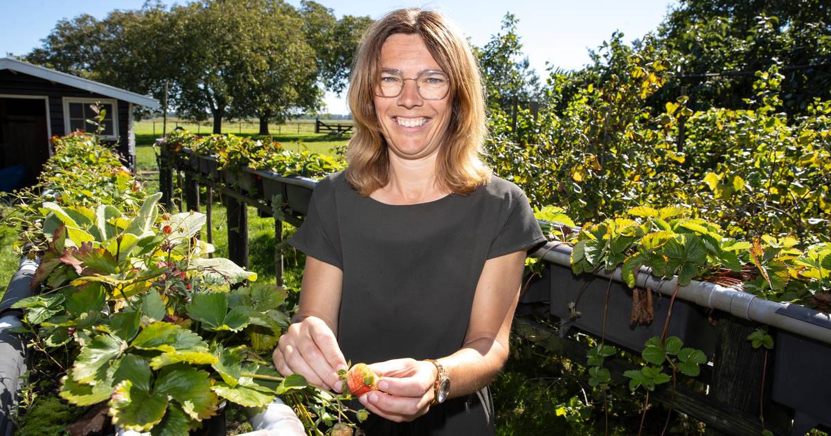 De Notenhoeve is dagopvang en oase tegelijk: ‘Er zijn ook mensen die het he-le-maal niks vinden’