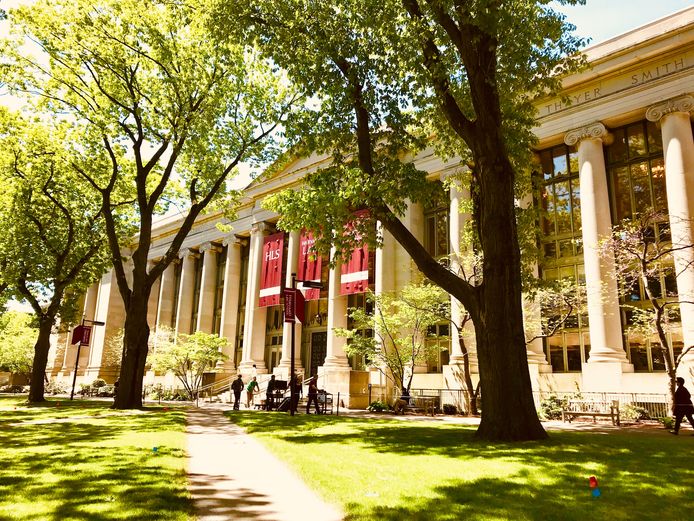 Université Harvard - Illustration