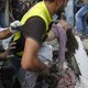 Weer kinderen gedood door Israëlisch bombardement