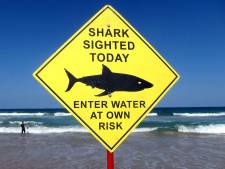 15-jarige Australische surfer doodgebeten door haai: vijfde fatale aanval dit jaar