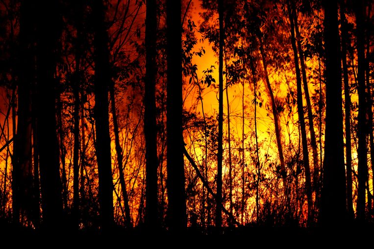 Verwoestende branden bij de steden Orbost en Lakes Entrance in oost Gippsland. Beeld Getty Images