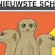 HNS: Geachte directie