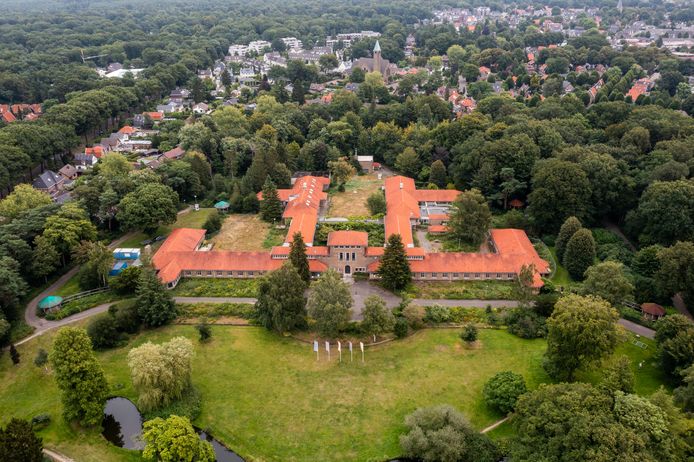 Van de bijna 800 bomen op het terrein van De Hooge Riet wordt ongeveer een kwart gekapt, waaronder de hoge beuk rechtsvoor, een aantal bomen rond het bordes voor de hoofdingang en een deel van de ‘bosmantel’ aan de achterkant van het terrein waar nieuwe woningen worden gebouwd.