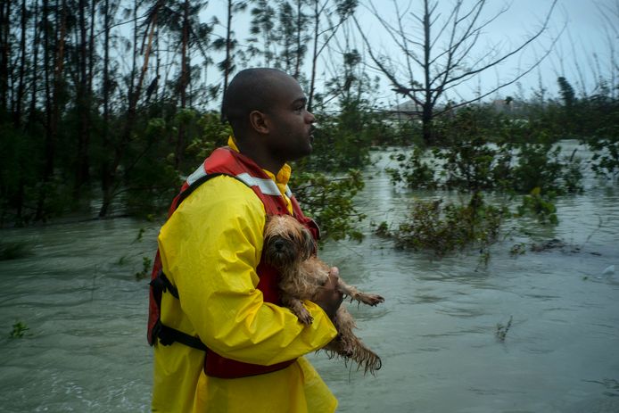 Een vrijwilliger met een geredde hond in het overstroomde Freeport.