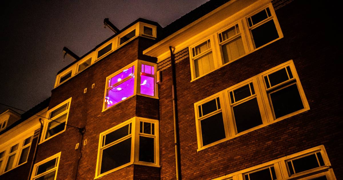 Valentijnsdag - Vier de liefde in Etten-Leur